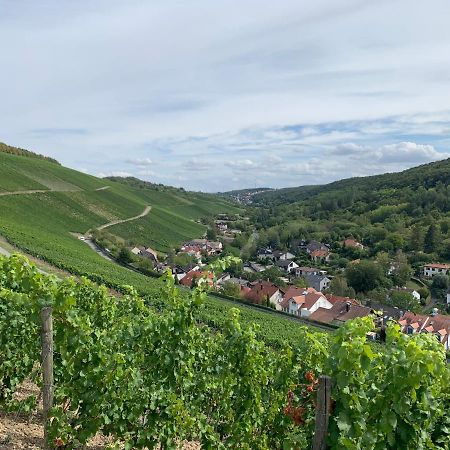 Neues Inserat, modernes Penthouse, nahe Würzburg Exterior foto